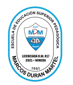 logo ico